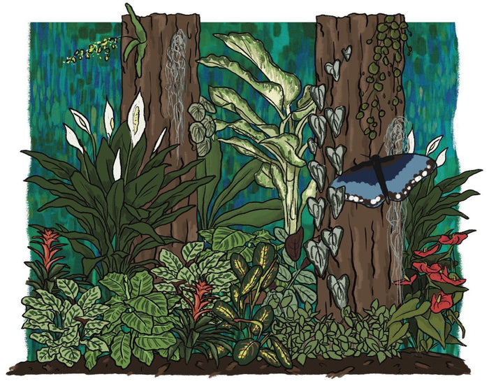 Beneath the Canopy – Our Next Big Adventure at RHS Malvern Spring Festival 2025 - Sprouts of Bristol