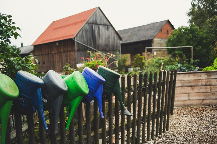 Sow the Seeds of Spring – Get Growing with Our New Seed Collection! 🌱 - Sprouts of Bristol