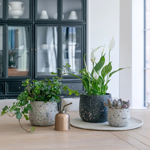 Alfie Terrazzo Planter - Sprouts of Bristol