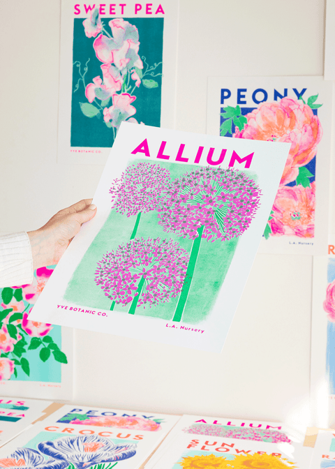 Allium Botanical Risograph Print - Sprouts of Bristol