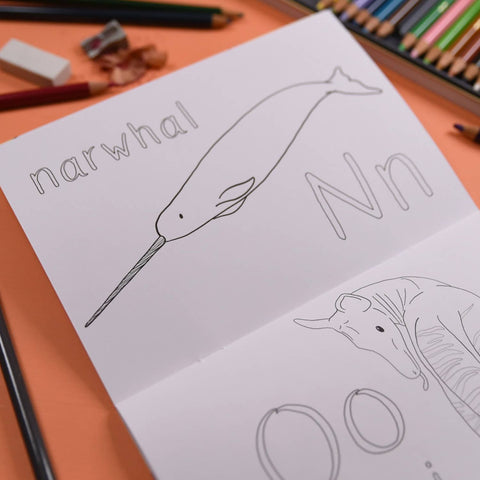 Alphabet of Amazing Animals Colouring Book - Sprouts of Bristol