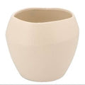 Amarah Textured Pot - Sprouts of Bristol