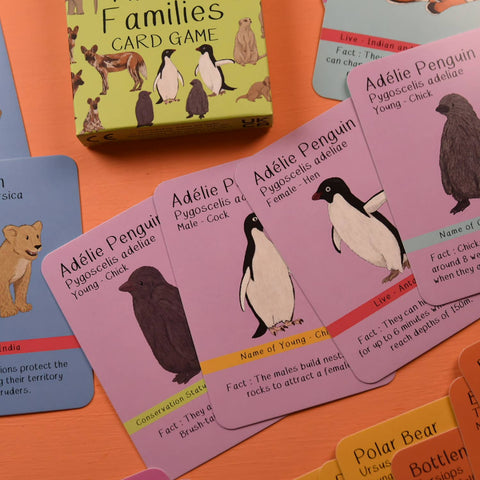 Amazing Animal Families Card Game - Sprouts of Bristol