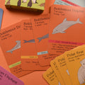Amazing Animal Families Card Game - Sprouts of Bristol