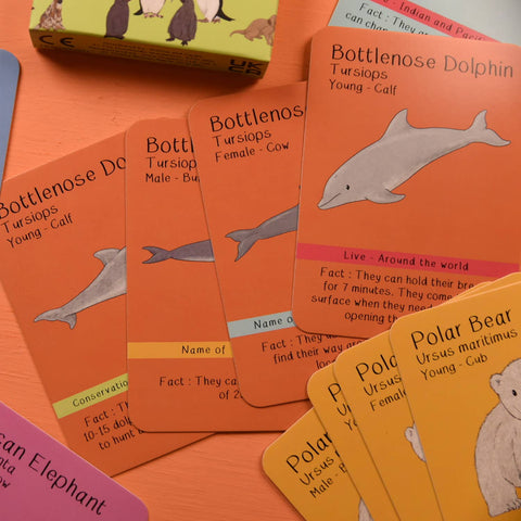 Amazing Animal Families Card Game - Sprouts of Bristol