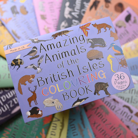 Amazing Animals of the British Isles Colouring Book - Sprouts of Bristol