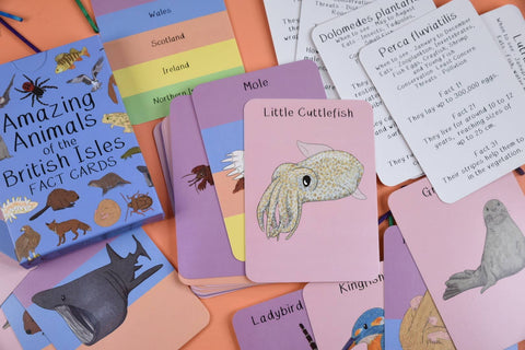 Amazing Animals of the British Isles Fact Cards - Sprouts of Bristol