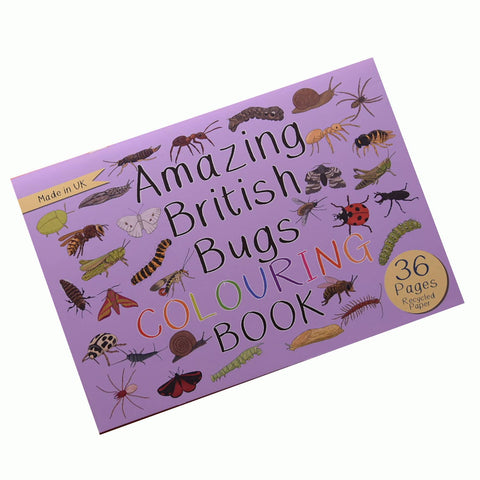 Amazing British Bugs Colouring Book - Sprouts of Bristol