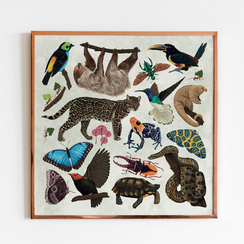 Amazon Wildlife Print [Beneath the Canopy RHS Collab] - Sprouts of Bristol