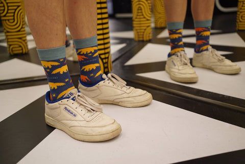 Anteater Socks | Bamboo Socks | Blue Socks | Tropical Socks - Sprouts of Bristol