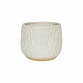 Arles Leaf Embossed Planter in White - Sprouts of Bristol