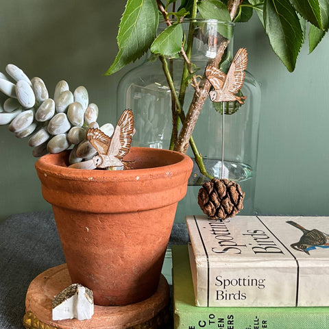 Barn Owl Plant Pot Companions - Sprouts of Bristol