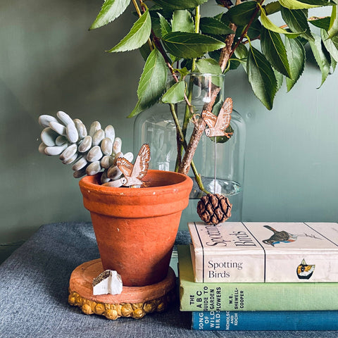 Barn Owl Plant Pot Companions - Sprouts of Bristol
