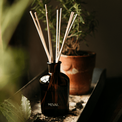 Bay & Rosemary Reed Diffuser - Sprouts of Bristol