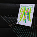 Beans Grow Greetings Card - Sprouts of Bristol