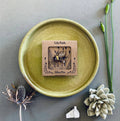 Bee Mini Pin Brooch - Sprouts of Bristol
