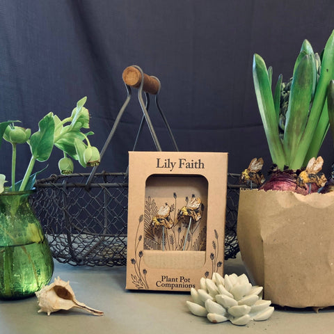 Bee Plant Pot Companions - Sprouts of Bristol
