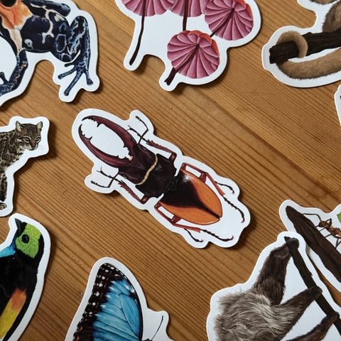 Beetle Amazon Wildlife Vinyl Sticker [Beneath the Canopy RHS Collab] - Sprouts of Bristol