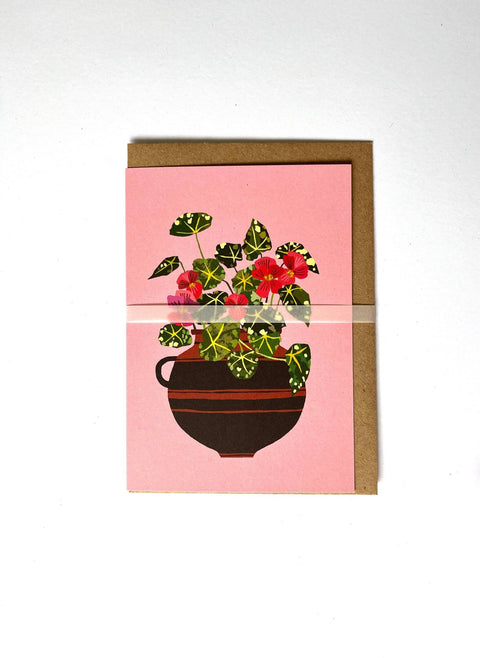 Begonia Greetings Card - Sprouts of Bristol