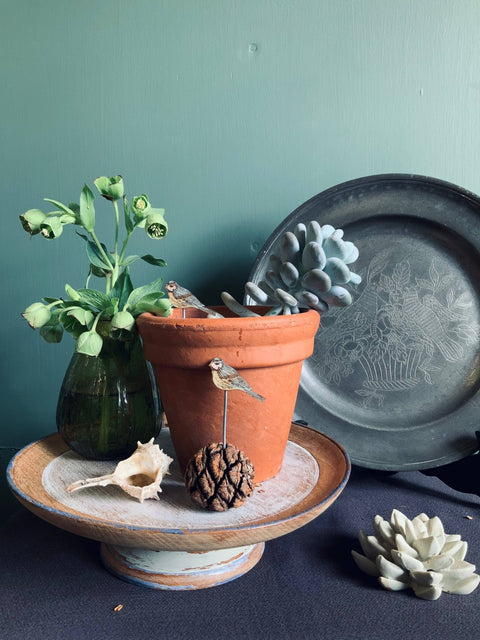 Blue Tit Plant Pot Companions - Sprouts of Bristol