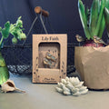 Blue Tit Plant Pot Companions - Sprouts of Bristol