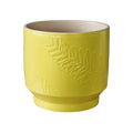 Botanist Leaf Embossed Planter in Lime Green - Sprouts of Bristol