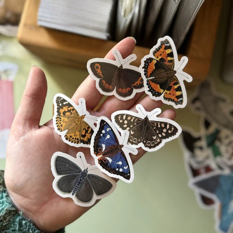 British Butterfly Vinyl Sticker Set of 6 - Sprouts of Bristol