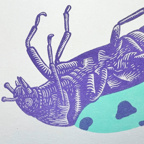 'Bugger' Ladybird Riso Art Print - Sprouts of Bristol