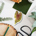 Caladium ‘Miss Muffet’ Tropical Houseplant Vinyl Sticker [Beneath the Canopy RHS Collab] - Sprouts of Bristol