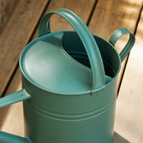 Classic Thistle Green 10L Steel Watering Can - Sprouts of Bristol