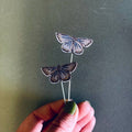Common Blue Butterfly Plant Pot Companions  - Sprouts of Bristol
