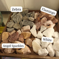 Decorative Rocks (30 - 40mm) - Great for terrarium decor - Sprouts of Bristol