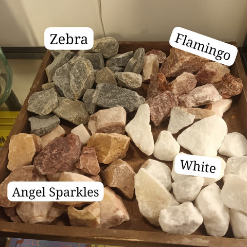 Decorative Rocks (30 - 40mm) - Great for terrarium decor - Sprouts of Bristol