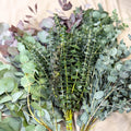 Eucalyptus Bunch – Mixed Varieties – Fresh Foliage for Christmas Wreaths, Floristry & Festive Crafting - Sprouts of Bristol