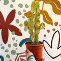 Euphorbia ingens 'Marmorata' - Marbled Candelabra Tree - Sprouts of Bristol