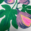 Fig Grow Greetings Card - Sprouts of Bristol