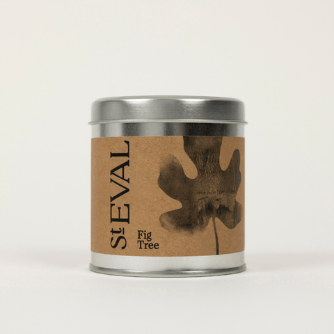 Fig Tree Scented Tin Candle - Sprouts of Bristol