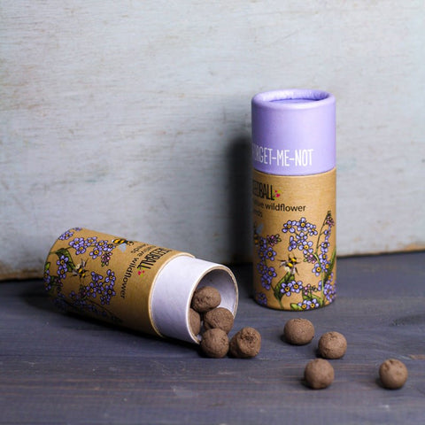 Forget - Me - Not Wildflower Seedball Tubes - Sprouts of Bristol