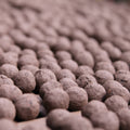 Forget - Me - Not Wildflower Seedball Tubes - Sprouts of Bristol