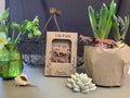 Fox Plant Pot Companions - Sprouts of Bristol
