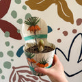 Fritillaria imperialis 'Aurora' - Orange Crown Imperial - Sprouts of Bristol