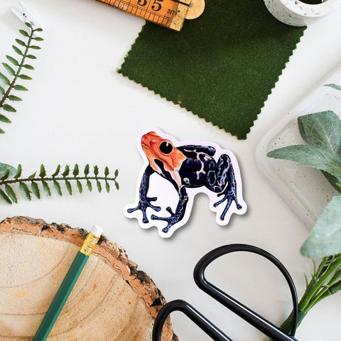 Frog Amazon Wildlife Vinyl Sticker [Beneath the Canopy RHS Collab] - Sprouts of Bristol