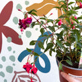 Fuchsia 'Dollar Princess' - Bush Fuchsia - British Grown - Sprouts of Bristol