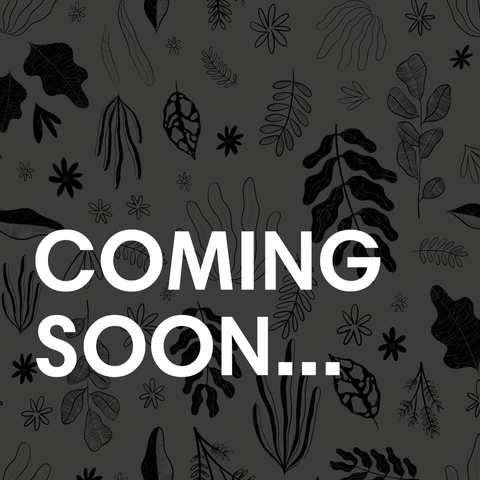 Garden Mystery Outdoor Plant Bundle | Subscription Available | Outdoor Plant Lucky Dip Gift Set - Sprouts of Bristol