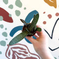 Gasteria ‘Little Warty’ – Ox Tongue Plant - Sprouts of Bristol