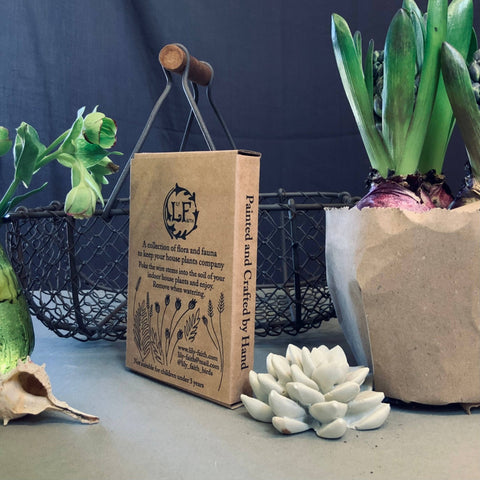 Hare Plant Pot Companions - Sprouts of Bristol