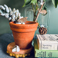 Hedgehog Plant Pot Companions - Sprouts of Bristol
