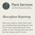 Houseplant Repotting Service | Professional Plant Repotting in Bristol - Sprouts of Bristol