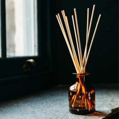 Inspiritus Christmas Mini Diffuser - Sprouts of Bristol
