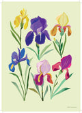 Irises Print A4 - Sprouts of Bristol